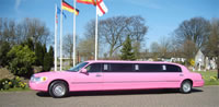 sight seeing limousine rental