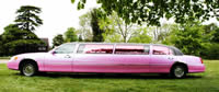 pink limousine hire essex