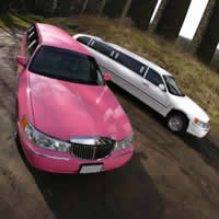 Race Day limo hire