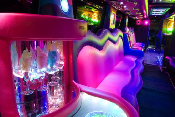 pb17 Party bus hire London